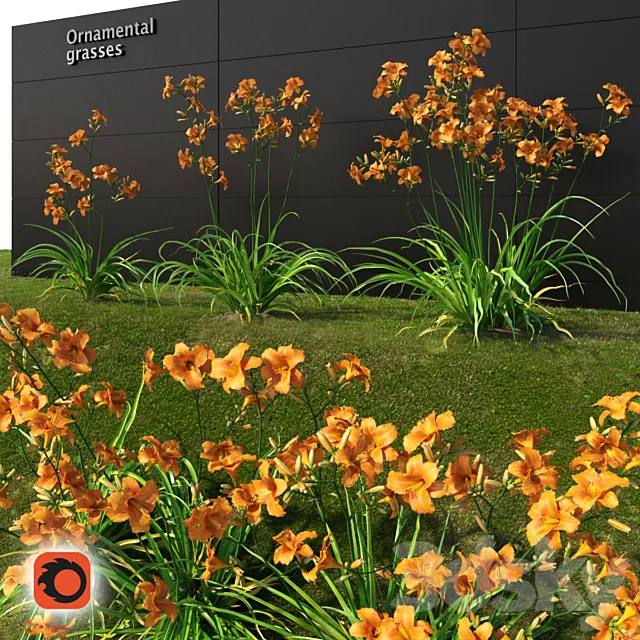 Liljernik yellow _ Hemerocallis lilioasphodelus (CORONA version) 3DModel Liljernik yellow _ Hemerocallis lilioasphodelus (CORONA version) 3DModel