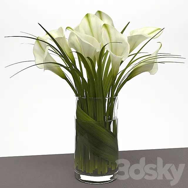 LILY 3D Model LILY 3D Model