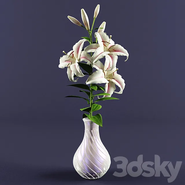 Lily 3D Model Lily 3D Model