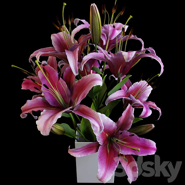 Lily bouquet 3D Model Lily bouquet 3D Model