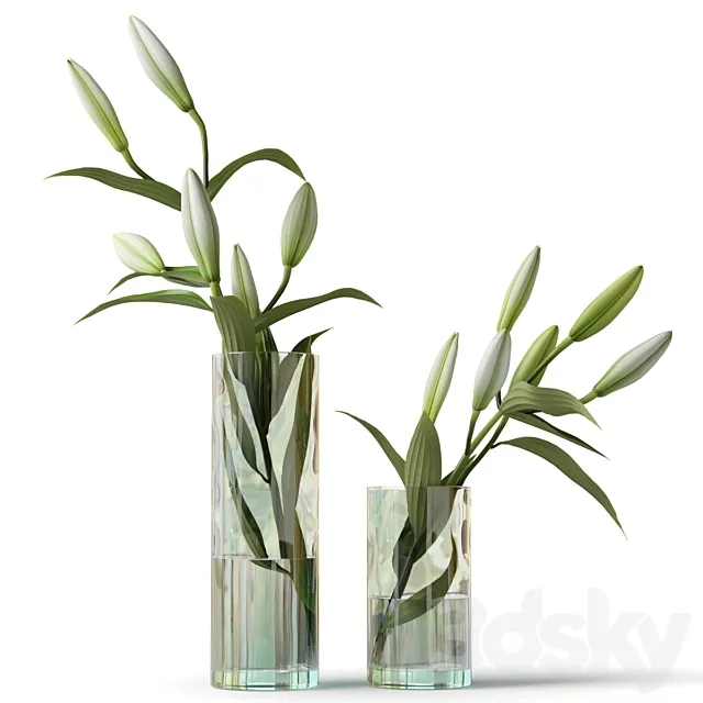 Lily in a glass vase 3D Model
