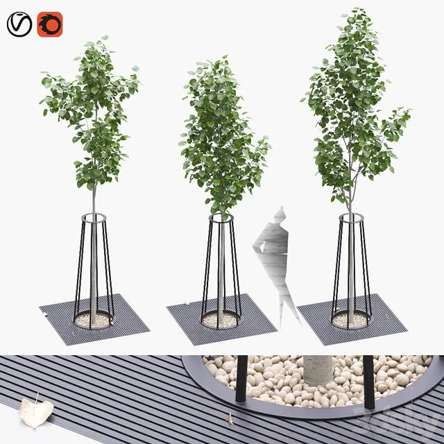 Linden seedlings in a tree-trunk lattice 3D Model Linden seedlings in a tree-trunk lattice 3D Model
