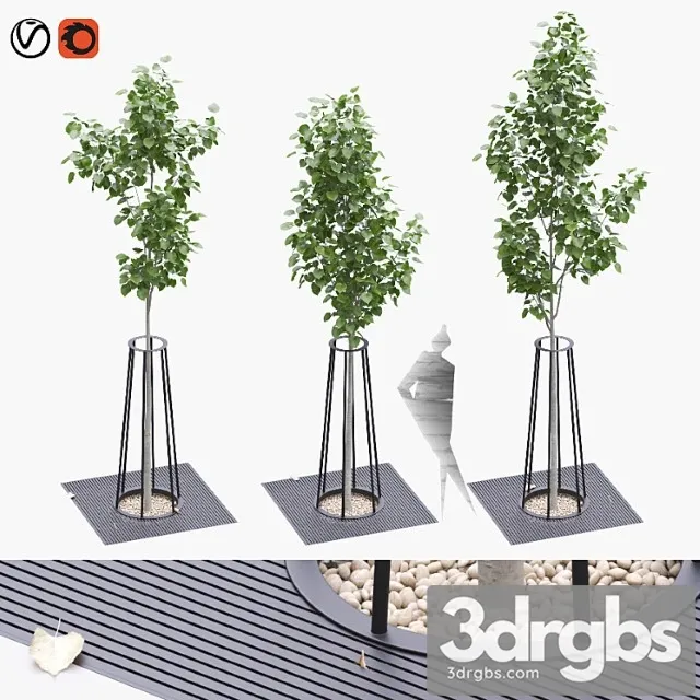 Linden Seedlings in a Tree Trunk Lattice 3D Model Download