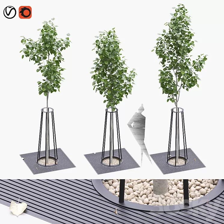 Linden seedlings in a tree-trunk lattice 3D Model
