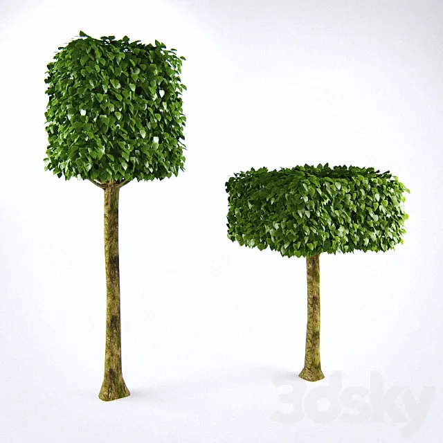 Lipa cubic strain on 3D Model Lipa cubic strain on 3D Model