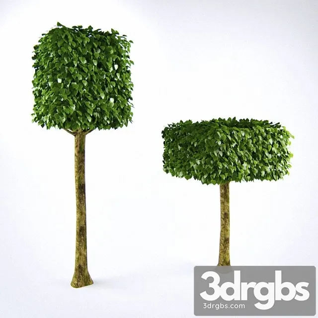 Lipa Kubichieskaia Na Shtammie 1 3D Model Download