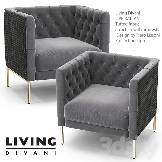 Lipp Rattan 3D Model