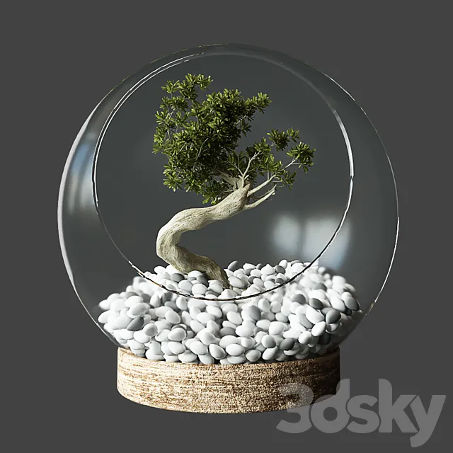Little Tree In Glass Globe 3DModel
