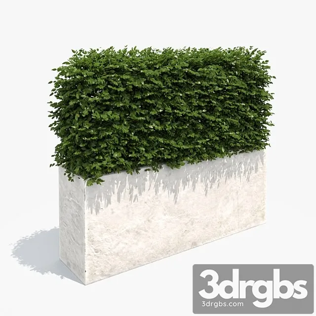 Living Izgorod In White Plantierie 3D Model Download