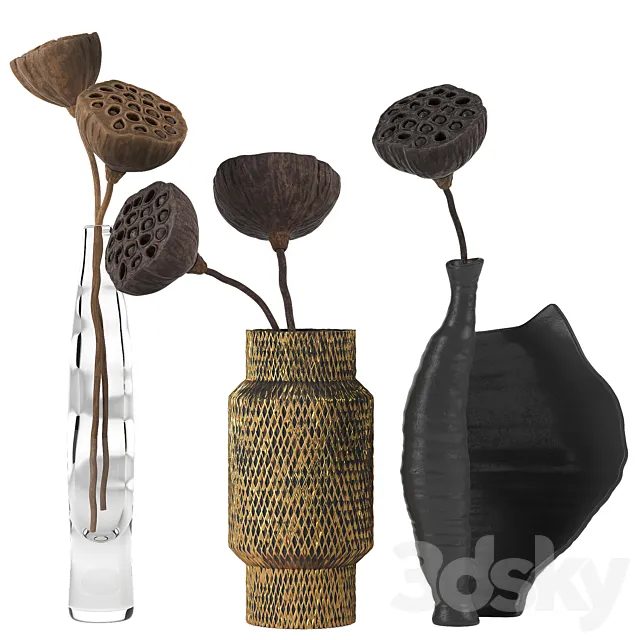 Lotus 3DModel Lotus 3DModel