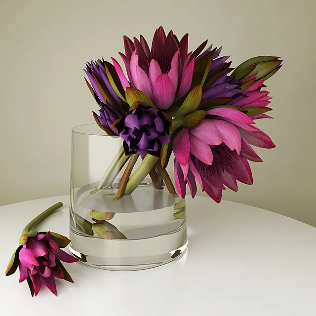 lotuses 3D Model lotuses 3D Model