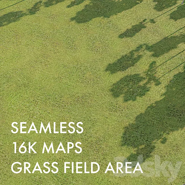Low field grass terrain material | Seamless | PBR 3D Model