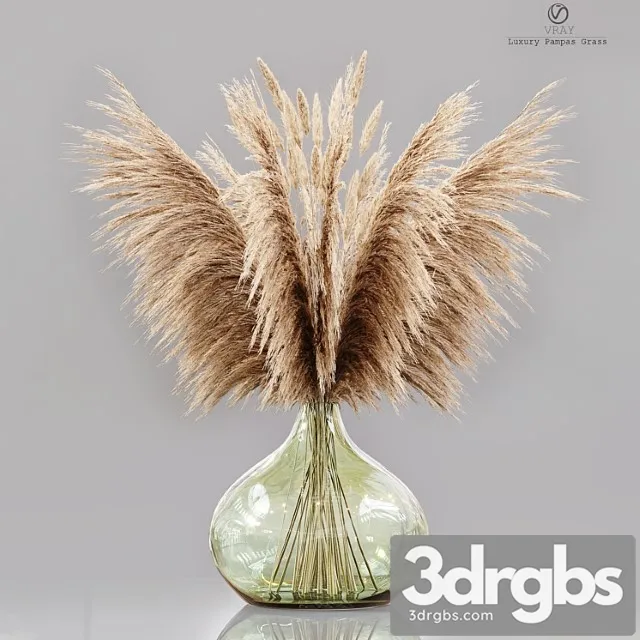Luxury pampas grass Luxury pampas grass