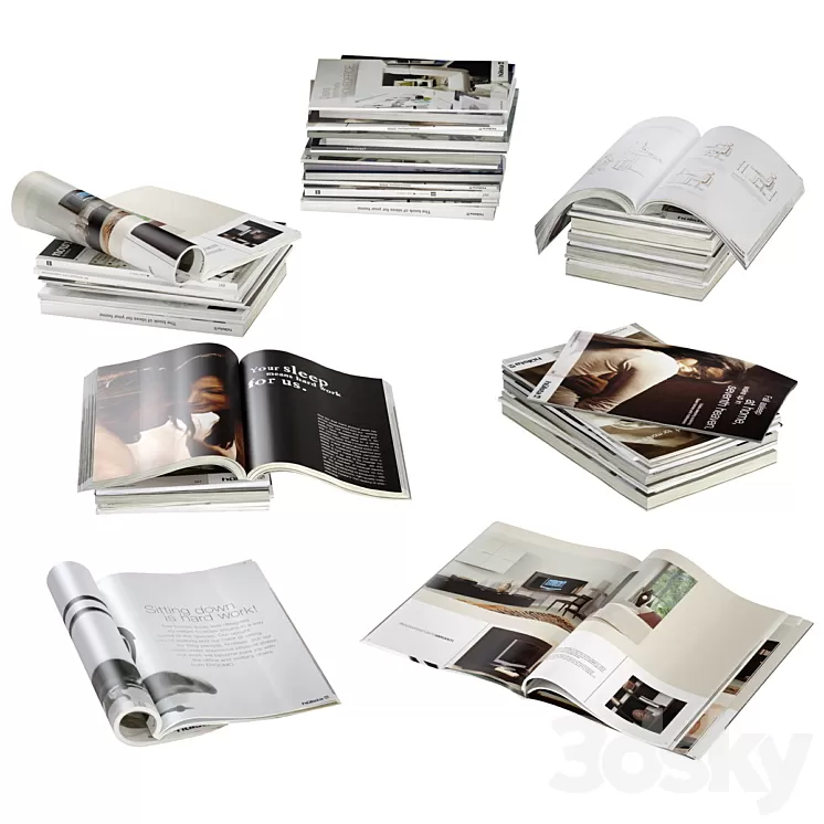 Magazines 3D Model