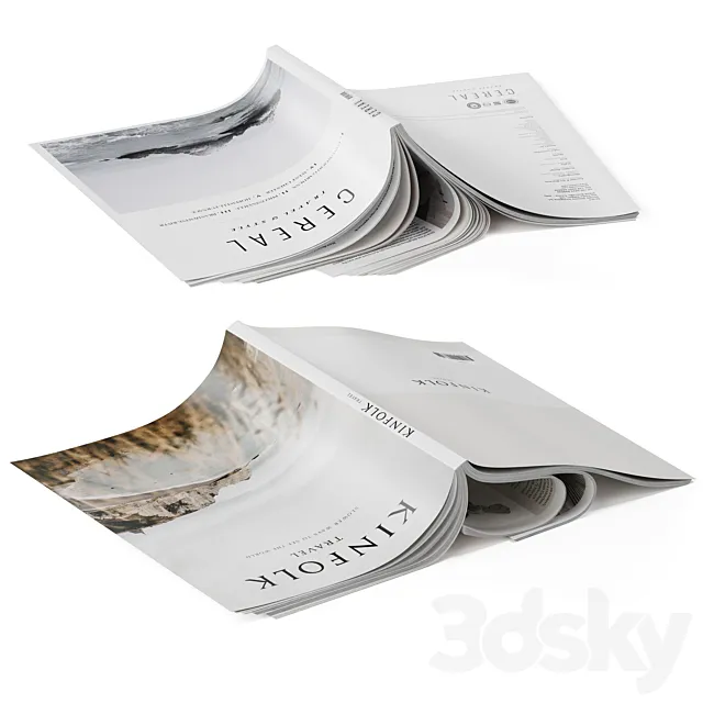 Magazines cover up 3DModel