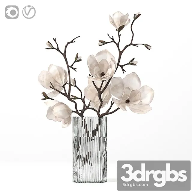 Magnolia 3D Model Download