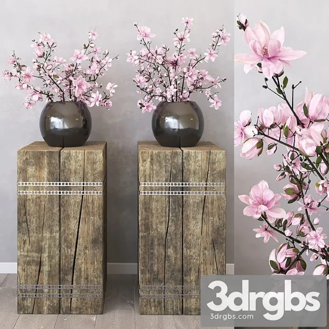 Magnolia 8 3D Model Download