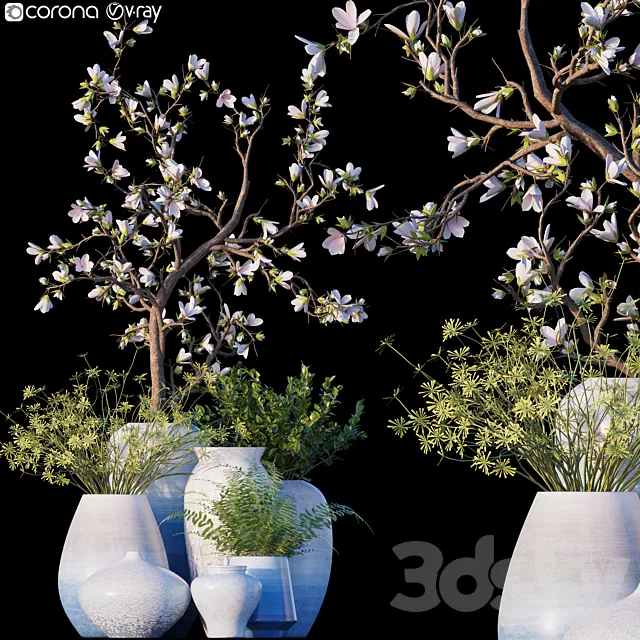 Magnolia _ Microsorum pteropus 3D Model Magnolia _ Microsorum pteropus 3D Model