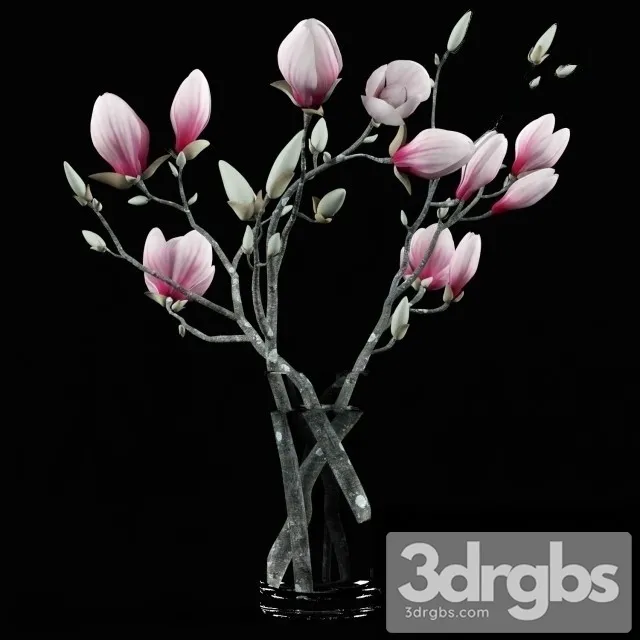 Magnolia Bouquet 3D Model Download