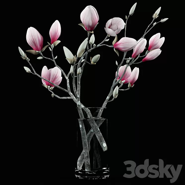 Magnolia Bouquet 3D Model Magnolia Bouquet 3D Model