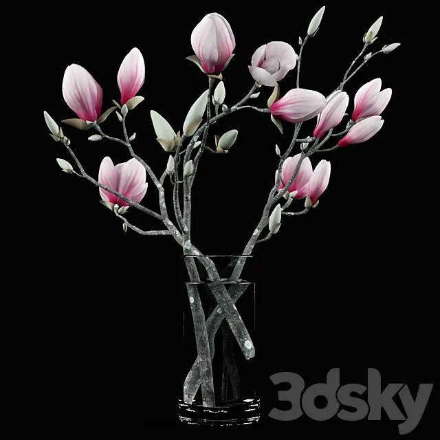Magnolia Bouquet 3DModel Magnolia Bouquet 3DModel