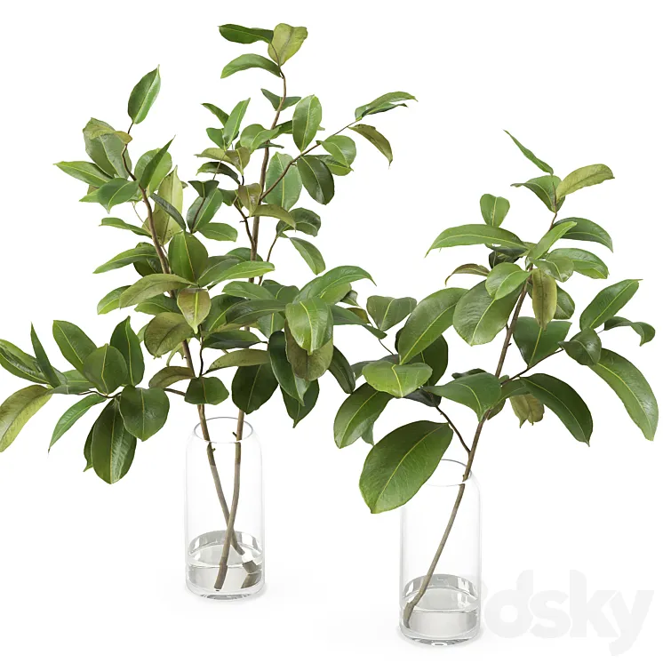 Magnolia Branch set 01 3D Model Free Download