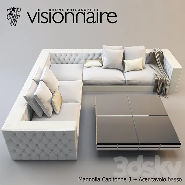 Magnolia Capitonne 3 + Acer tavolo basso 3D Model