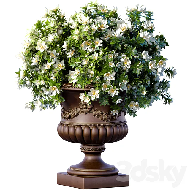 Magnolia flowers Bouquet in a classic vase pot flowerpot for decoration.Indoor interior Plant 3D Model