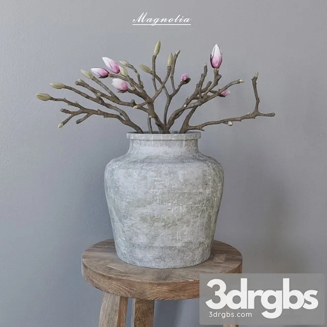 Magnolia In Concrete Vase 1 3D Model Download