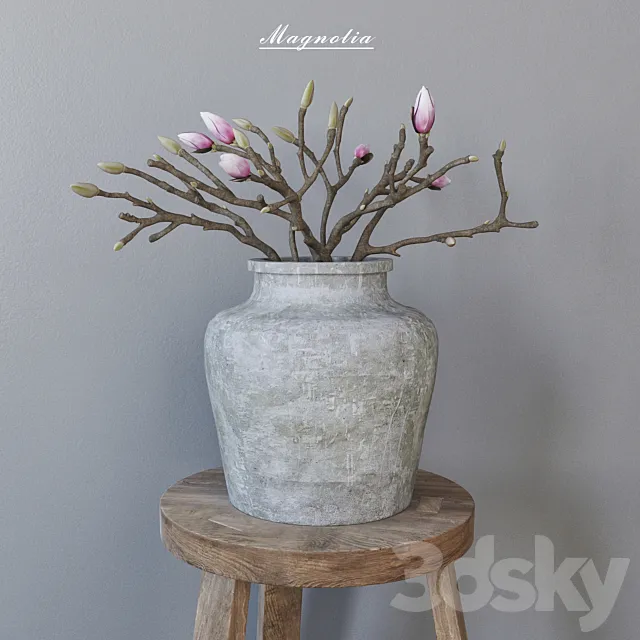 Magnolia in concrete vase 3D Model Magnolia in concrete vase 3D Model