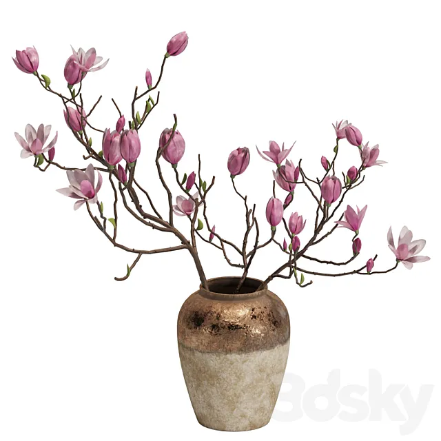Magnolia Shrubs In Clay Vase 04 3D Model Magnolia Shrubs In Clay Vase 04 3D Model