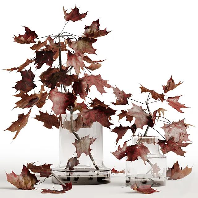 Maple branches in a glass vase 3D Model