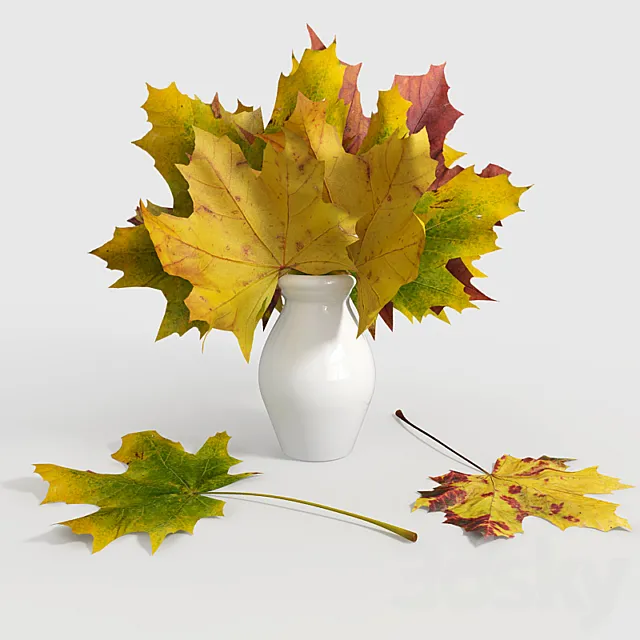 Maple leaves in a vase 3DModel Maple leaves in a vase 3DModel
