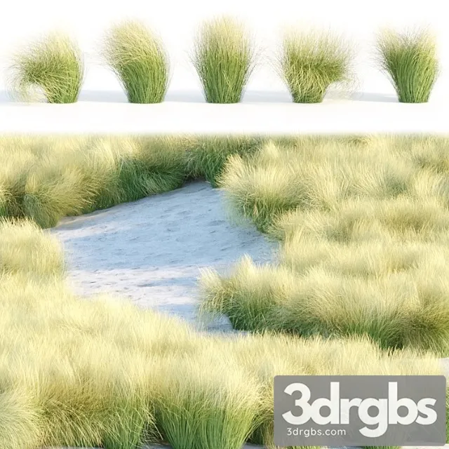 Maram Grass Collection Vol 155 3D Model Download
