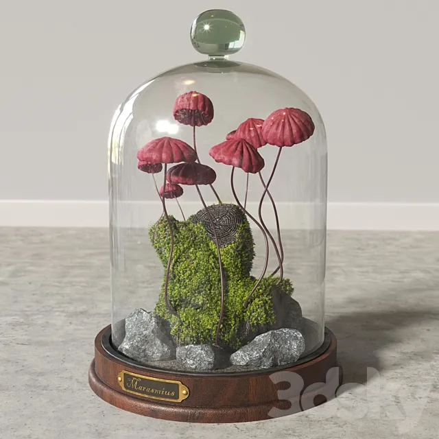 Marasmius_Florarium 3D Model Marasmius_Florarium 3D Model