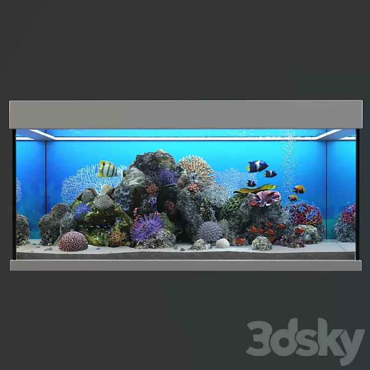 Marine Aquarium 3D Model Free Download Marine Aquarium 3D Model Free Download
