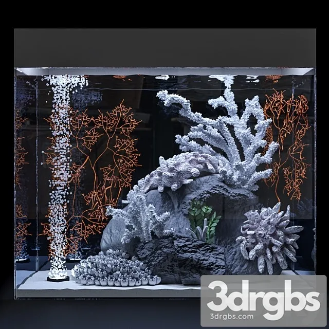 Marine Aquarium 3D Model Download