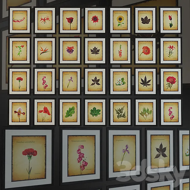 Mark Rogan – Botanical Potpourri. Poster. 3DModel Mark Rogan – Botanical Potpourri. Poster. 3DModel