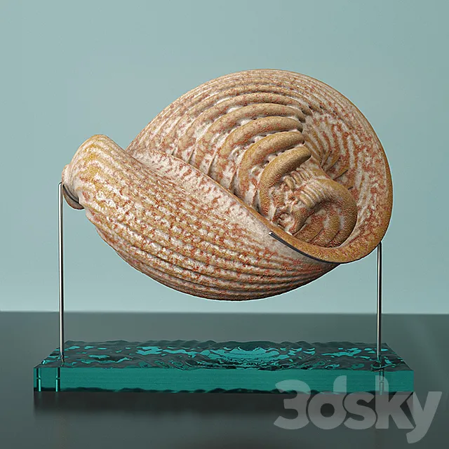 «Martian Seashell» 3D Model «Martian Seashell» 3D Model