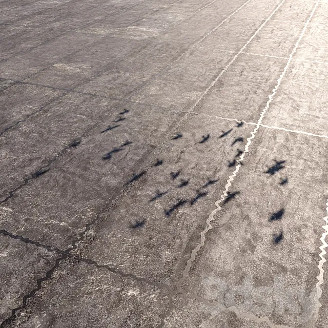 Material of flat rolled waterproofing for the roof seamless 3D Model