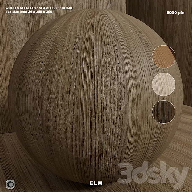 Material wood (seamless) elm – set 125 3D Model
