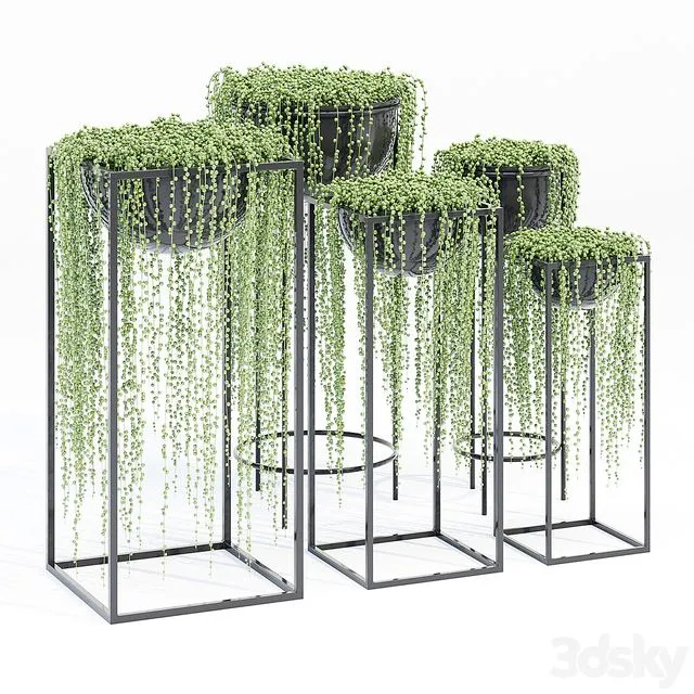 Matson tiara 3D Model Matson tiara 3D Model