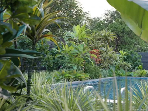 Max Tree – MAXTREE VOL 10