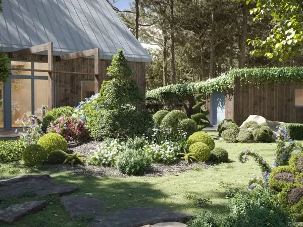 Max Tree – MAXTREE VOL 104