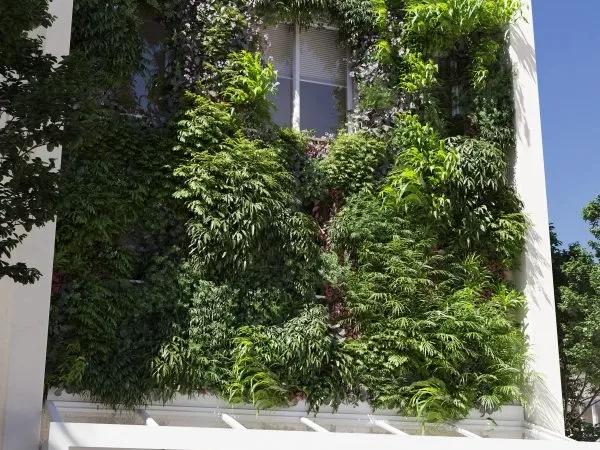 Max Tree – MAXTREE VOL 13