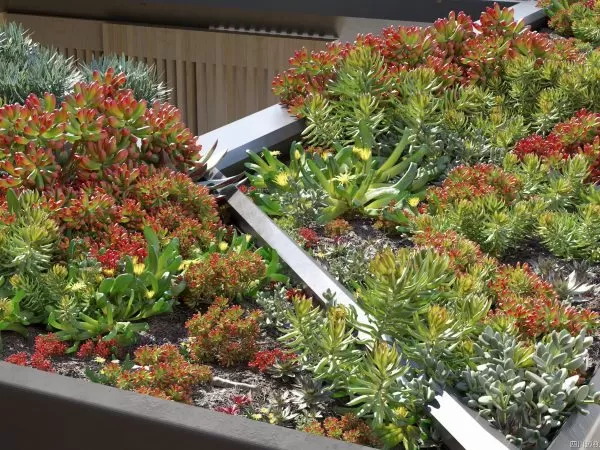 Max Tree – MAXTREE VOL 14