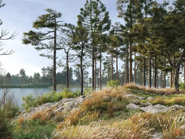 Max Tree – MAXTREE VOL 24