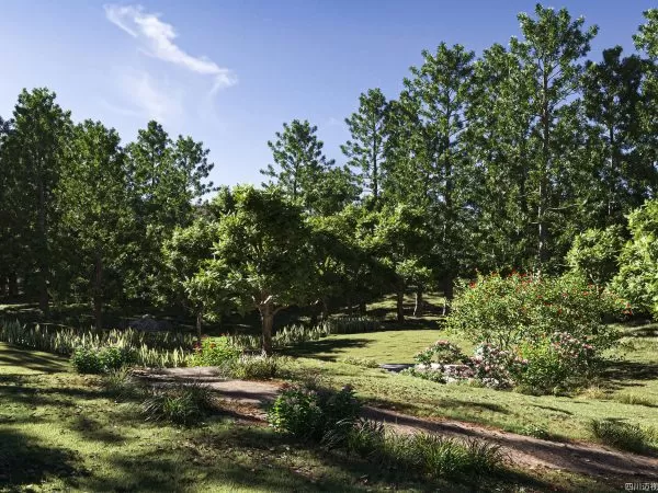 Max Tree – MAXTREE VOL 33