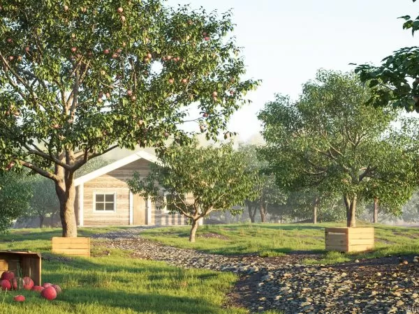 Max Tree – MAXTREE VOL 36