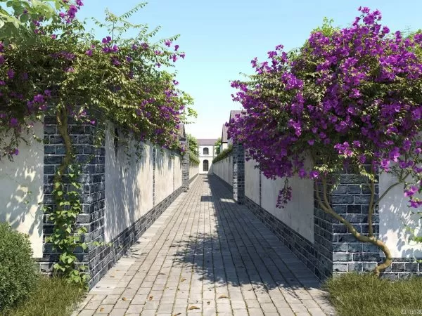 Max Tree – MAXTREE VOL 37